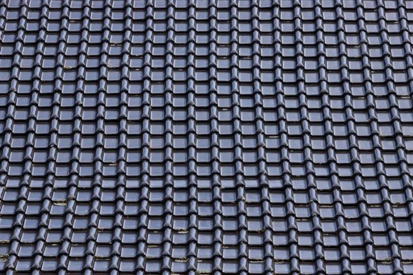 Pris på Nyt Tag – Hvad påvirker Prisen?